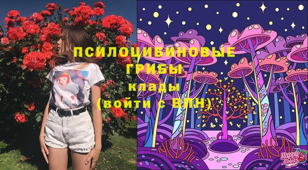 экстази Дмитровск
