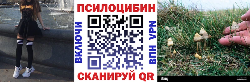 blacksprut зеркало Мглин Галлюциногенные грибы ЛСД как найти закладки
