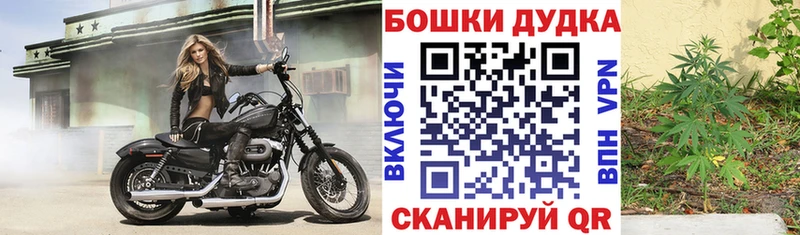 Конопля конопля Мглин